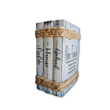 Load image into Gallery viewer, Decorative Book Bundle-Ons Familie