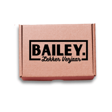 Load image into Gallery viewer, Bailey Box Design
